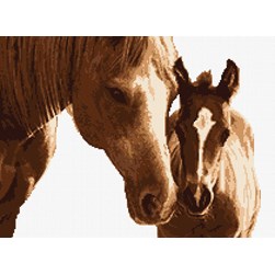 kit Point de croix Marie Coeur L'amour d'une jument vers son poulain