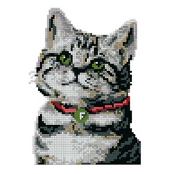 Mini Kit broderie Luc Création Caton tout doux