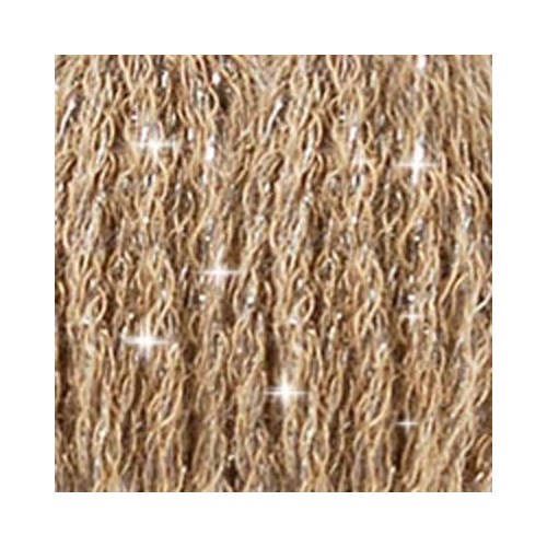 Fils DMC Mouliné - C840