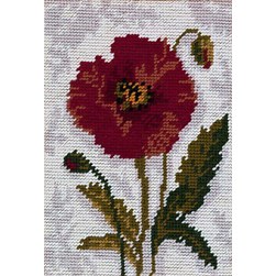 kit Canevas Complet Anchor Coquelicot solitaire