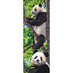 Canevas Mimo Verde Deux pandas sur la branche