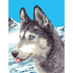 Canevas Mimo Verde Un husky sibérien