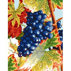 Canevas Mimo Verde Grappe de raisin rouge