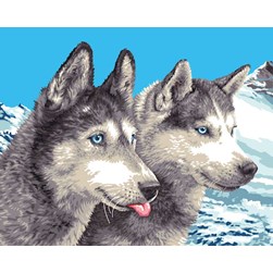 Canevas Mimo Verde Husky dans la montagne