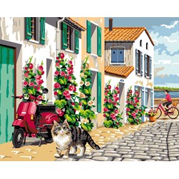 Canevas Mimo Verde Un chat à l'île de Ré