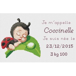 Broderie naissance Mimo Verde Petite coccinelle endormie