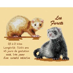 kit Point de croix Mimo Verde Fiche identité furet