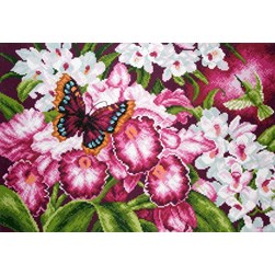 Broderie imprimée aïda Collection d'art Le papillon aux multiples orchidées