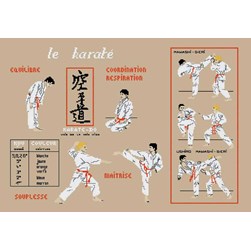 kit Point de croix Planète Mauve Les prises de karaté
