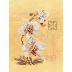 kit Point de croix Lanarte Trois fleurs d'orchidées sur étamine