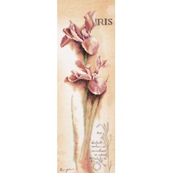 kit Point de croix Lanarte IRIS - BOTANICAL sur etamine