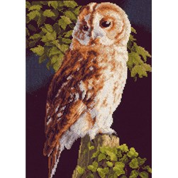 kit Point de croix Lanarte Chouette Effraie