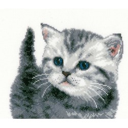 kit Point de croix Vervaco Petit chaton gris