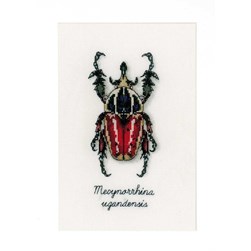 kit Point de croix Vervaco Le coléoptère rouge