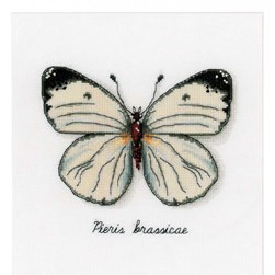 kit Point de croix Vervaco Papillon ivoire