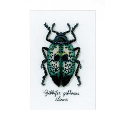 kit Point de croix Vervaco Le coléoptère vert