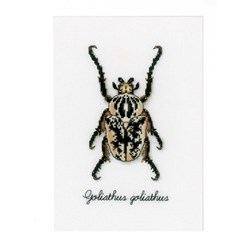 kit Point de croix Vervaco Le coléoptère beige