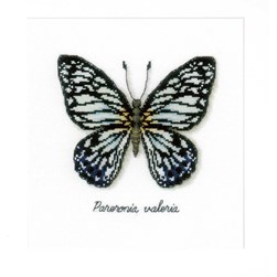 kit Point de croix Vervaco Papillon bleu argent