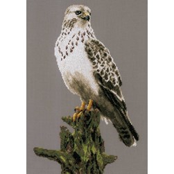 kit Point de croix Lanarte Le faucon espion