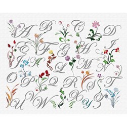 Kit broderie Traditionnelle Princesse L'abécédaire des fleurs sauvages
