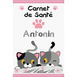 Kit Protège carnet santé à broder Princesse Complicité des chatons