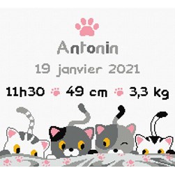 Broderie naissance Princesse LEs empreinte des petits chatons malins