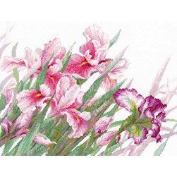 kit Point de croix RIOLIS Iris roses dans le vent