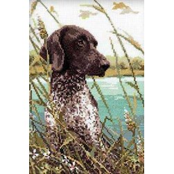 kit Point de croix RIOLIS Chien de chasse