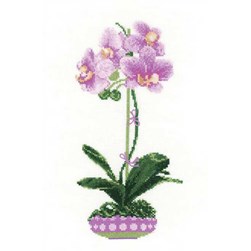 kit Point de croix RIOLIS L'ochidée fleurie
