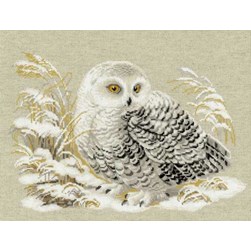 kit Point de croix RIOLIS Chouette blanche enneigée