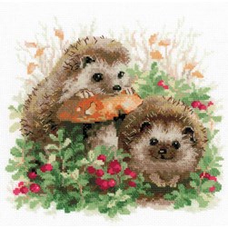 kit Point de croix RIOLIS Duo de hérissons