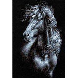 kit Point de croix RIOLIS Portrait d'étalon noir