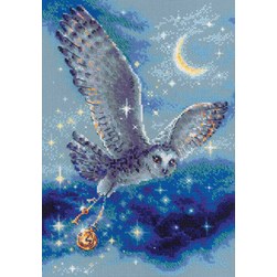 kit Point de croix RIOLIS Le vol de la chouette magique