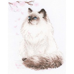 kit Point de croix RIOLIS Douceur de chat Persan