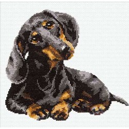 kit Point de croix RIOLIS Teckel à l'écoute