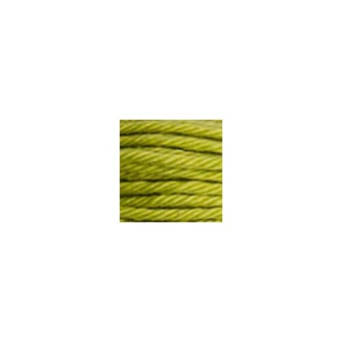 Fils Retors DMC - 2142 - Vert absinthe