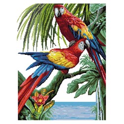 kit Point de croix Rafael Angelot Duo de perroquets tropicaux
