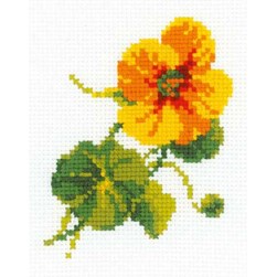 kit Point de croix RIOLIS Capucine orange