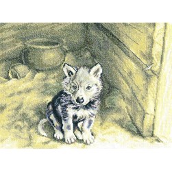 kit Point de croix RTO Chiot trouvé