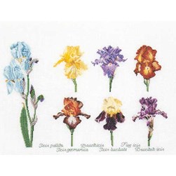 kit Point de croix Thea Gouverneur Les différents iris sur toile de lin
