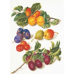 kit Point de croix Thea Gouverneur Des pêches et des prunes sur lin