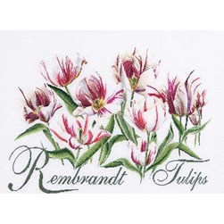 kit Point de croix Thea Gouverneur Tulipes Rembrandt sur lin