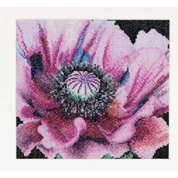 kit Point de croix Thea Gouverneur Grand pavot rose sur aida