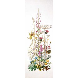 kit Point de croix Thea Gouverneur Fleurs sauvages sur toile de lin