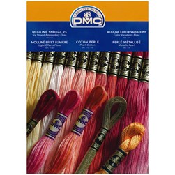 Carte des couleurs avec brins Mouliné et Perlé