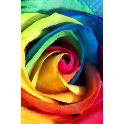 Broderie diamant Wizardi Rose arc en ciel