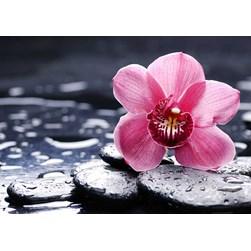 Broderie diamant Wizardi L'orchidée apaisante