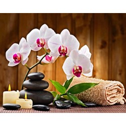 Broderie diamant Wizardi Orchidée détente