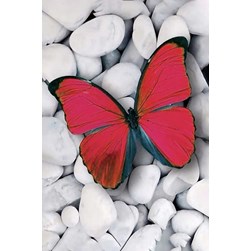 Broderie diamant Wizardi Papillon rouge