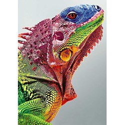 Broderie diamant Wizardi Iguane en couleur